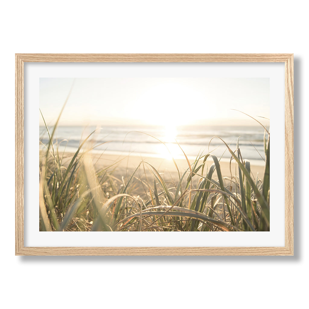 Beach Grass