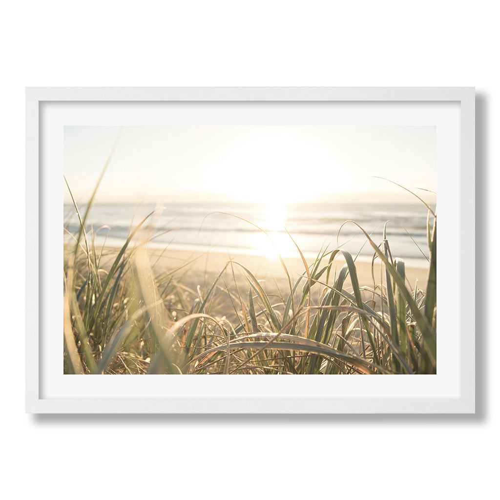 Beach Grass