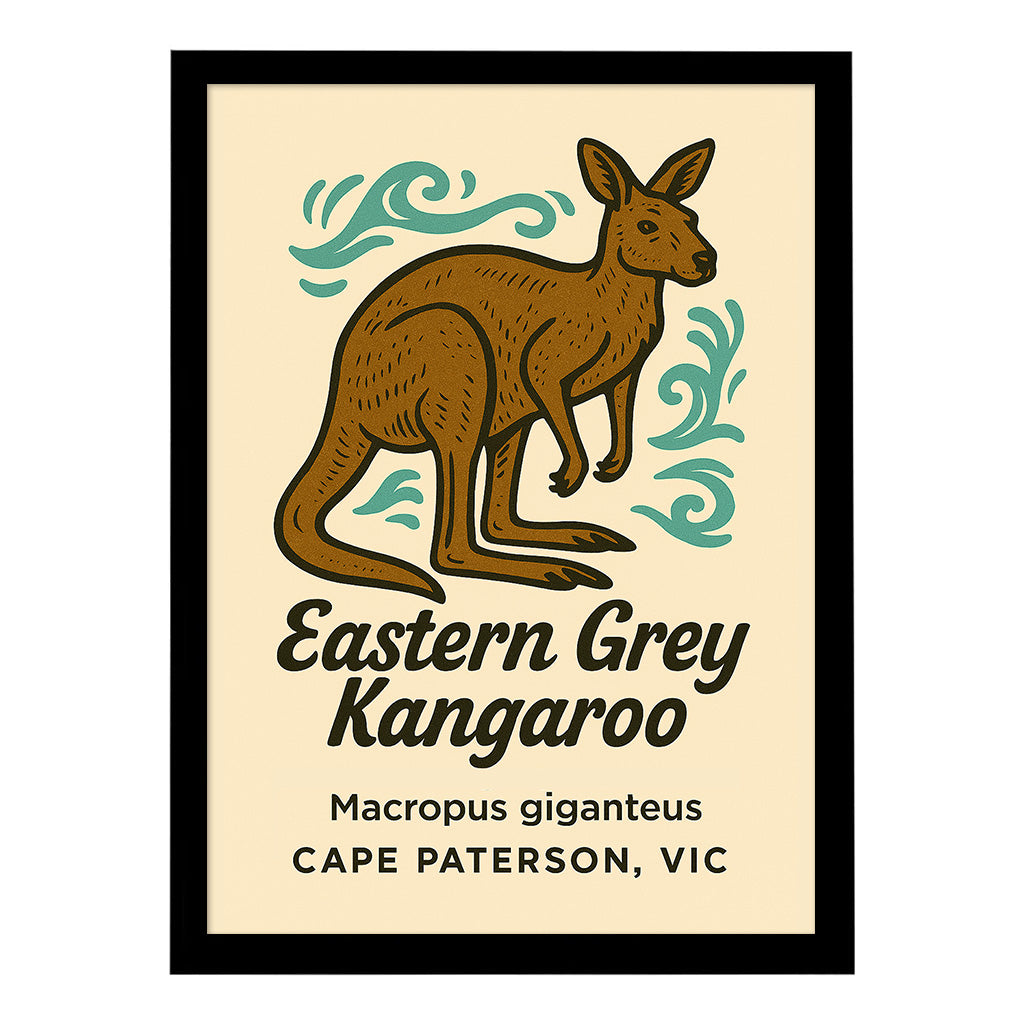 Eastern Grey Kangaroo