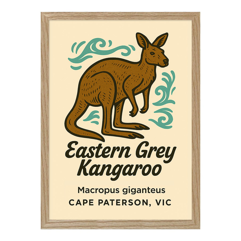 Eastern Grey Kangaroo