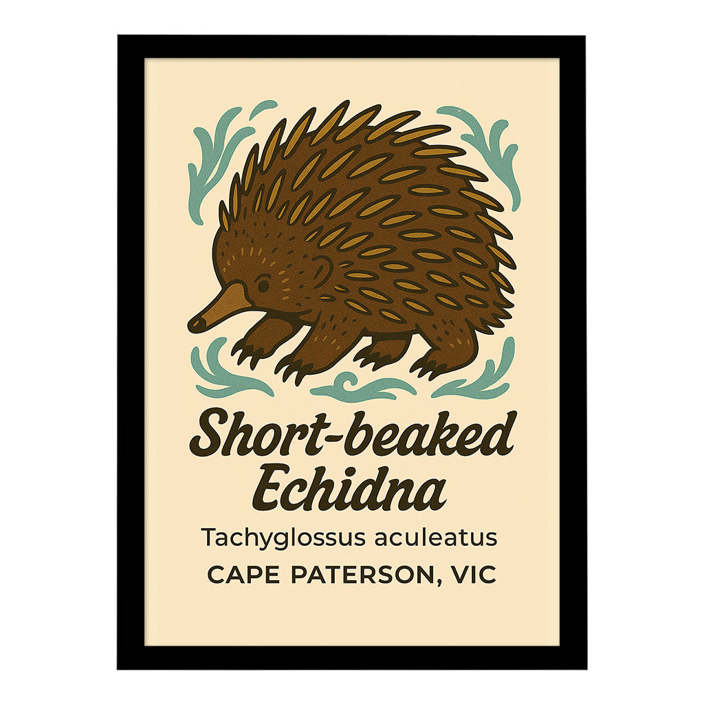 Short Beaked Echidna