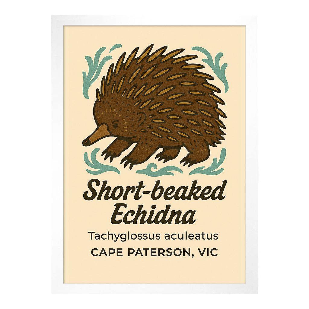 Short Beaked Echidna